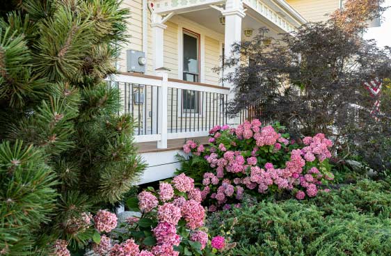 outside-landscaping